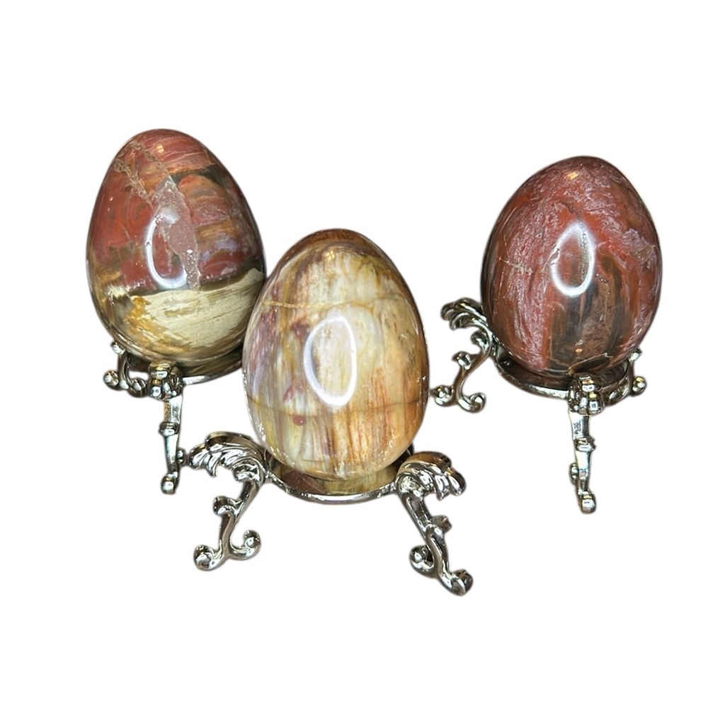 Petrified Wood Egg with holders - Price for 1 PRICE FIRM